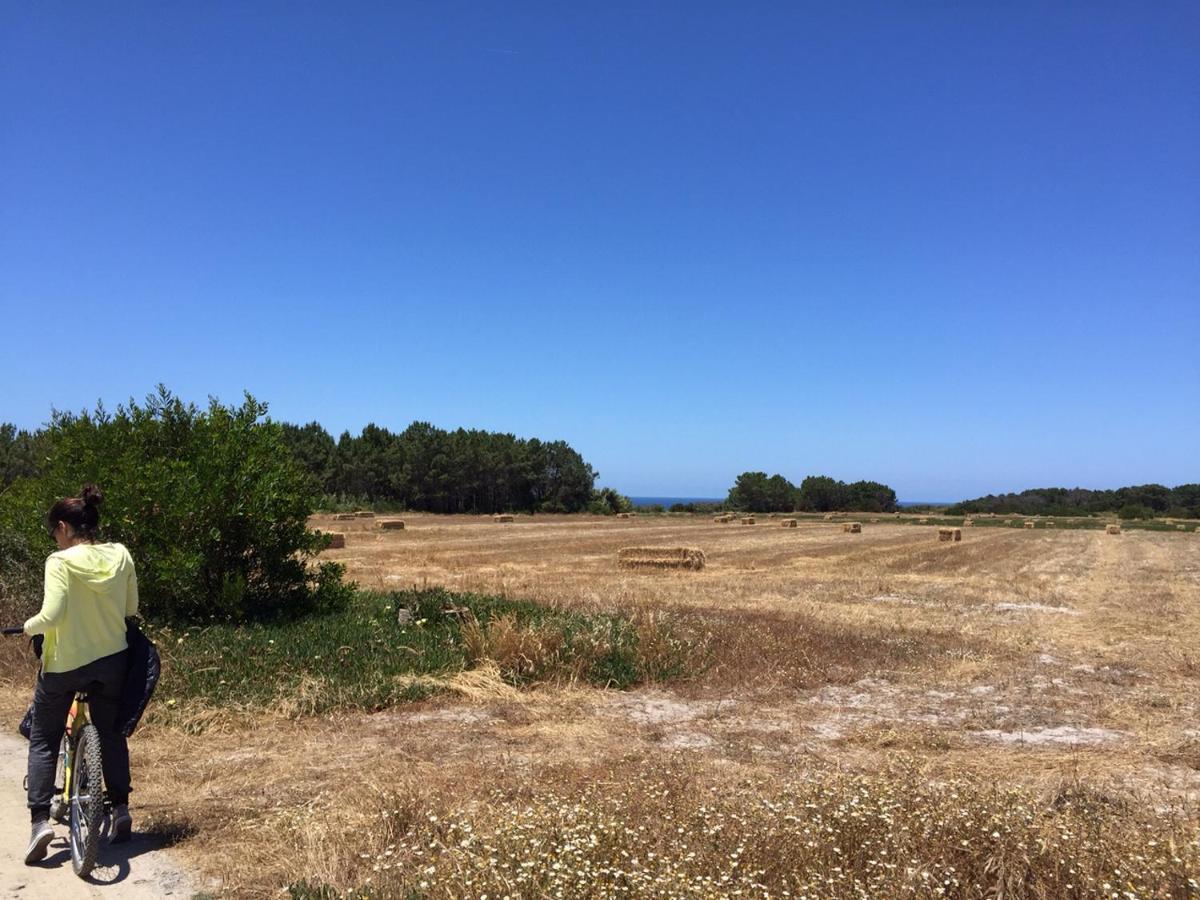 Casinha Da Cabra, Casas Do Poente, Rogil, Aljezur Villa ภายนอก รูปภาพ